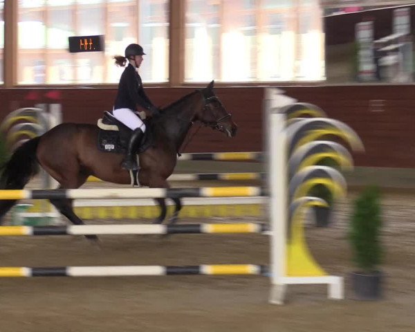 Reitturnier Coesfeld-Lette 2022