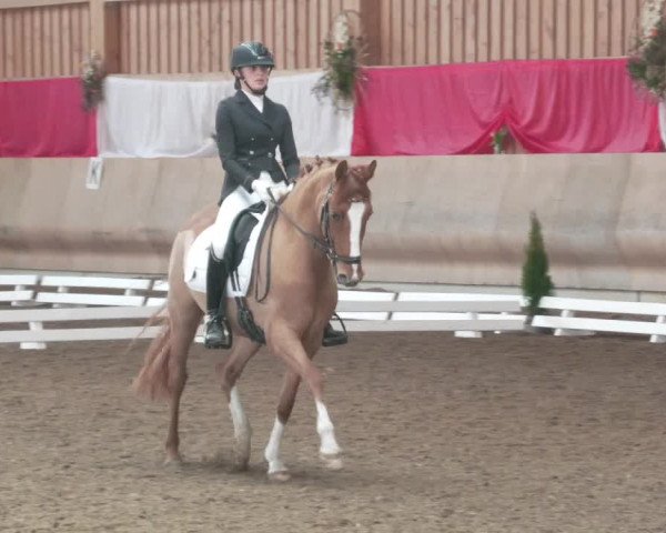 Reitturnier Schwendi 2022
