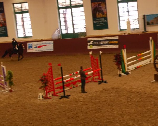 Reitturnier Redefin 2022