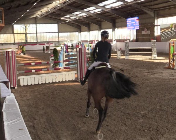 Reitturnier Greven 2022