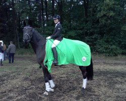 dressage horse Fleur Noir (Hanoverian, 2008, from Florencio I)