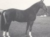 stallion Damenheld II (Westphalian, 1985, from Damenstolz)