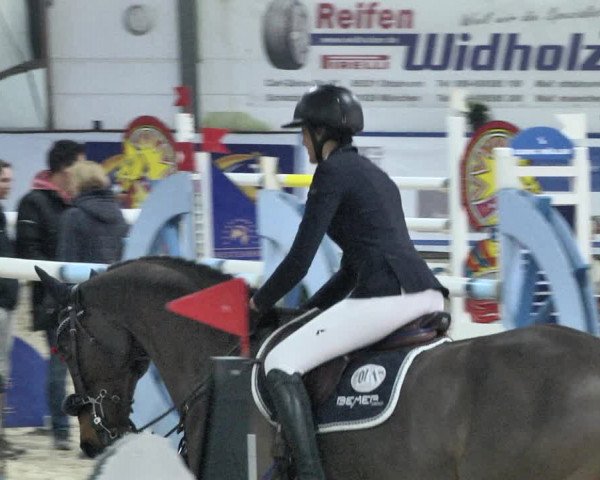 Reitturnier Karlsfeld 2022