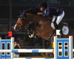 jumper Edesa S Banjan (Belgian Warmblood, 2001, from Toulon)