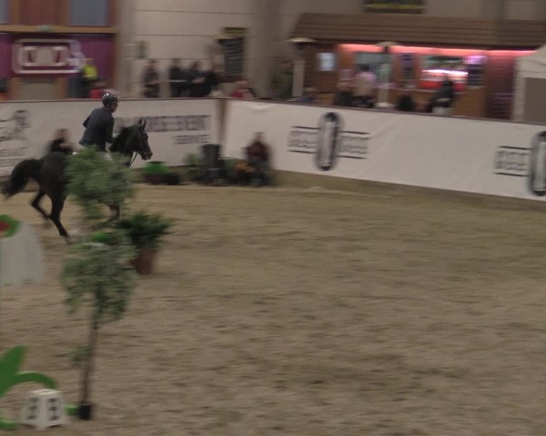 Reitturnier Prussendorf 2022