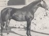 horse Römer (Westphalian, 1969, from Romulus I)