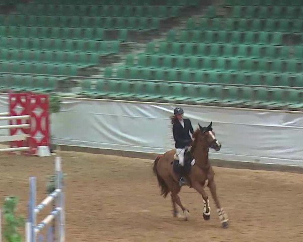 Reitturnier Kreuth/Opf. 2022