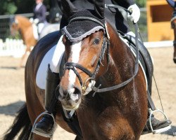 dressage horse Whoopi 83 (Rhinelander, 2004, from Weltrubin)