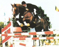 Deckhengst Vainqueur de Cheux (Selle Français, 1987, von Grand Veneur)