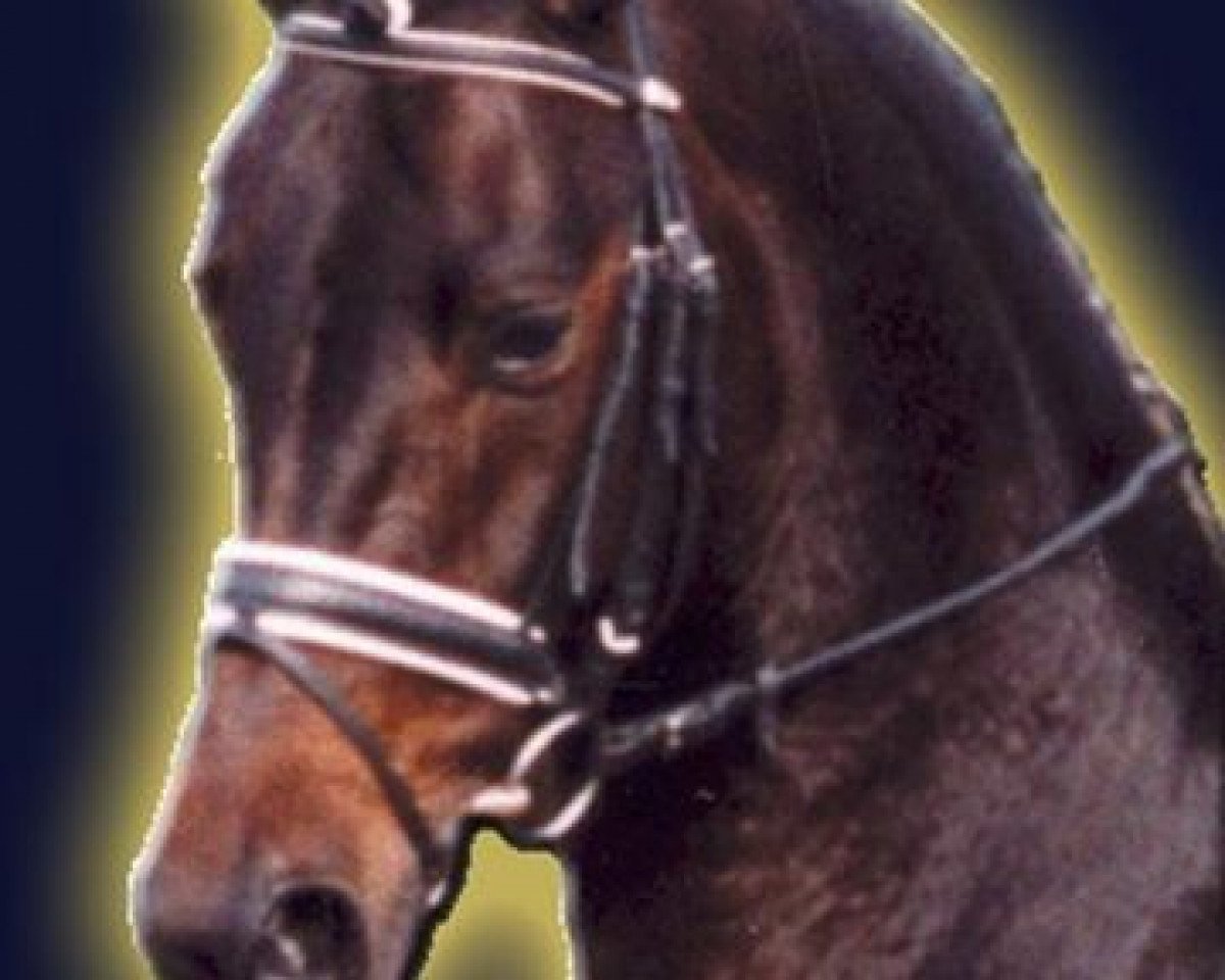 Deckhengst Raikano (Hannoveraner, 2000, von Rabino)