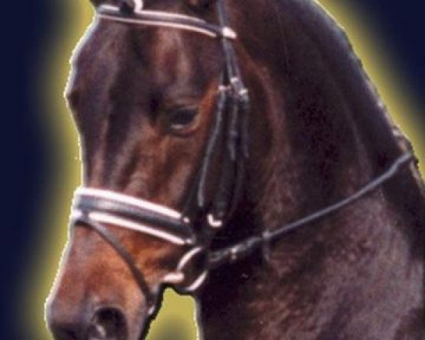 stallion Raikano (Hanoverian, 2000, from Rabino)