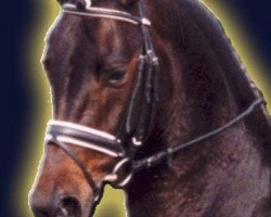 stallion Raikano (Hanoverian, 2000, from Rabino)