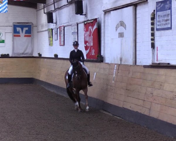 Reitturnier Heide 2022