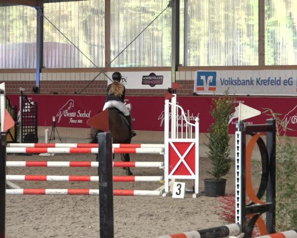 Reitturnier Kaldenkirchen - Gestüt Seehof 2022