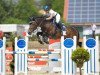 jumper Ballistic M2s (Irish Sport Horse, 2006, from Ekstein)