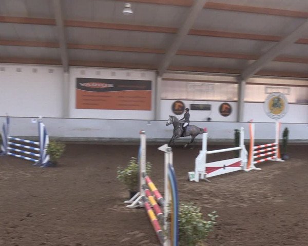 Reitturnier Münchehofe 2022