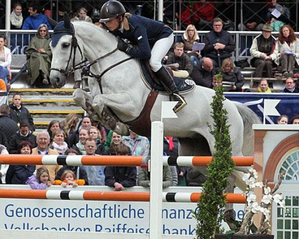 dressage horse Charlie (Westphalian, 2003, from Cornet Obolensky)