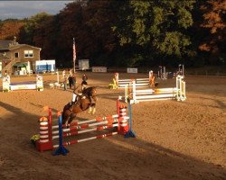 dressage horse La Vida Loca 7 (Holsteiner, 2005, from Lou Bega)