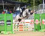 jumper Delano (German Riding Pony, 2016, from Del Piero 25)