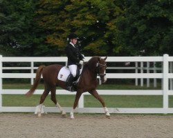 dressage horse Crocodile Dundee (German Riding Pony, 2000, from Cap Cennedy N)