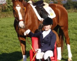 dressage horse Liechtenstein (Hanoverian, 2005, from Londonderry)