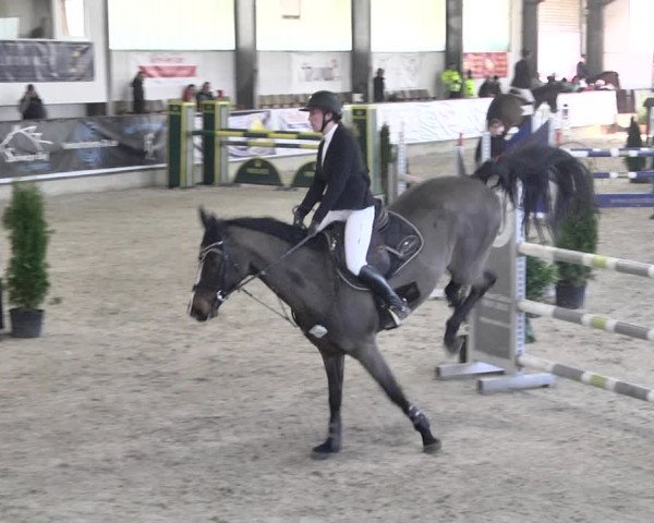 Reitturnier Karlsfeld 2022