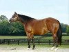 broodmare Snip O Gun (Quarter Horse, 1993, from One Gun)