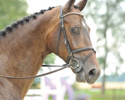 jumper Coup de Coeurs Hit (Oldenburg, 2006, from Coupe de Coeur 2)