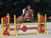 jumper In Time (Oldenburg show jumper, 2008, from Incolor)