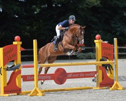 jumper In Time (Oldenburg show jumper, 2008, from Incolor)