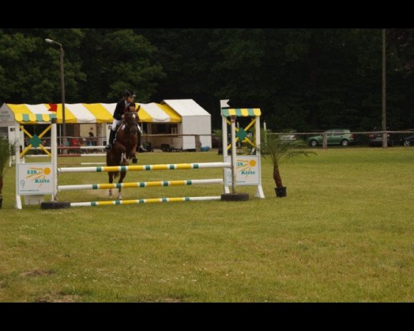 jumper Nicki 293 (German Riding Pony, 1999, from Newcomer)