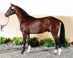 stallion For Ever Jump (Holsteiner, 2006, from For Pleasure)