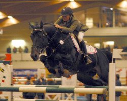 stallion Jeopardy (KWPN (Royal Dutch Sporthorse), 1991, from Edison)