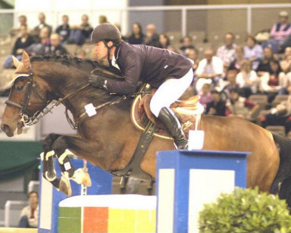 stallion Cliff (Holsteiner, 1995, from Cor de la Bryère)