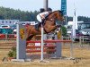 dressage horse Acordella (Bavarian, 2008, from Acordelli)