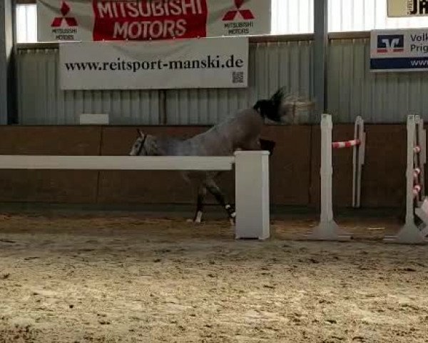 Video of Gregory Z