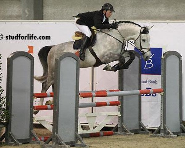 Springpferd Baron D'Hyrencourt (Belgium Sporthorse, 2007, von Kashmir van't Schuttershof)