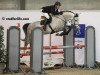 Springpferd Baron D'Hyrencourt (Belgium Sporthorse, 2007, von Kashmir van't Schuttershof)