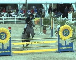 jumper Chic Hin D Hyrencourt (Belgian Warmblood, 2008, from Taran de La Pomme)