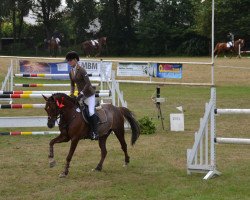 jumper Charly 1524 (Welsh-Pony (Section B), 2004, from Carnuet)