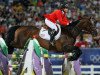 jumper Authentic (KWPN (Royal Dutch Sporthorse), 1995, from Guidam)