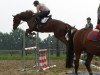 jumper Cassius Clay 30 (Hanoverian, 2010, from Chivas)