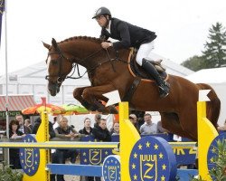 Deckhengst Pommeau du Heup (Selle Français, 2003, von Helios de la Cour II)