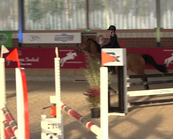 Reitturnier Kaldenkirchen - Gestüt Seehof 2022