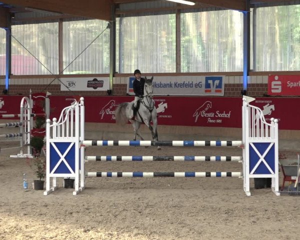 Reitturnier Kaldenkirchen - Gestüt Seehof 2022