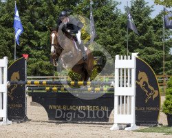 jumper Double B (KWPN (Royal Dutch Sporthorse), 2008, from VDL Wittinger)