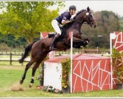 jumper Cadgold xx (Thoroughbred, 2002, from Kadrou xx)