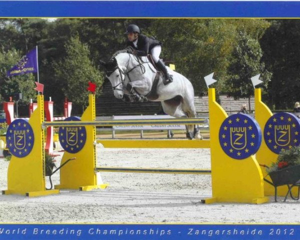 broodmare Leonie 111 Z (Zangersheide riding horse, 2006, from Lord Z)