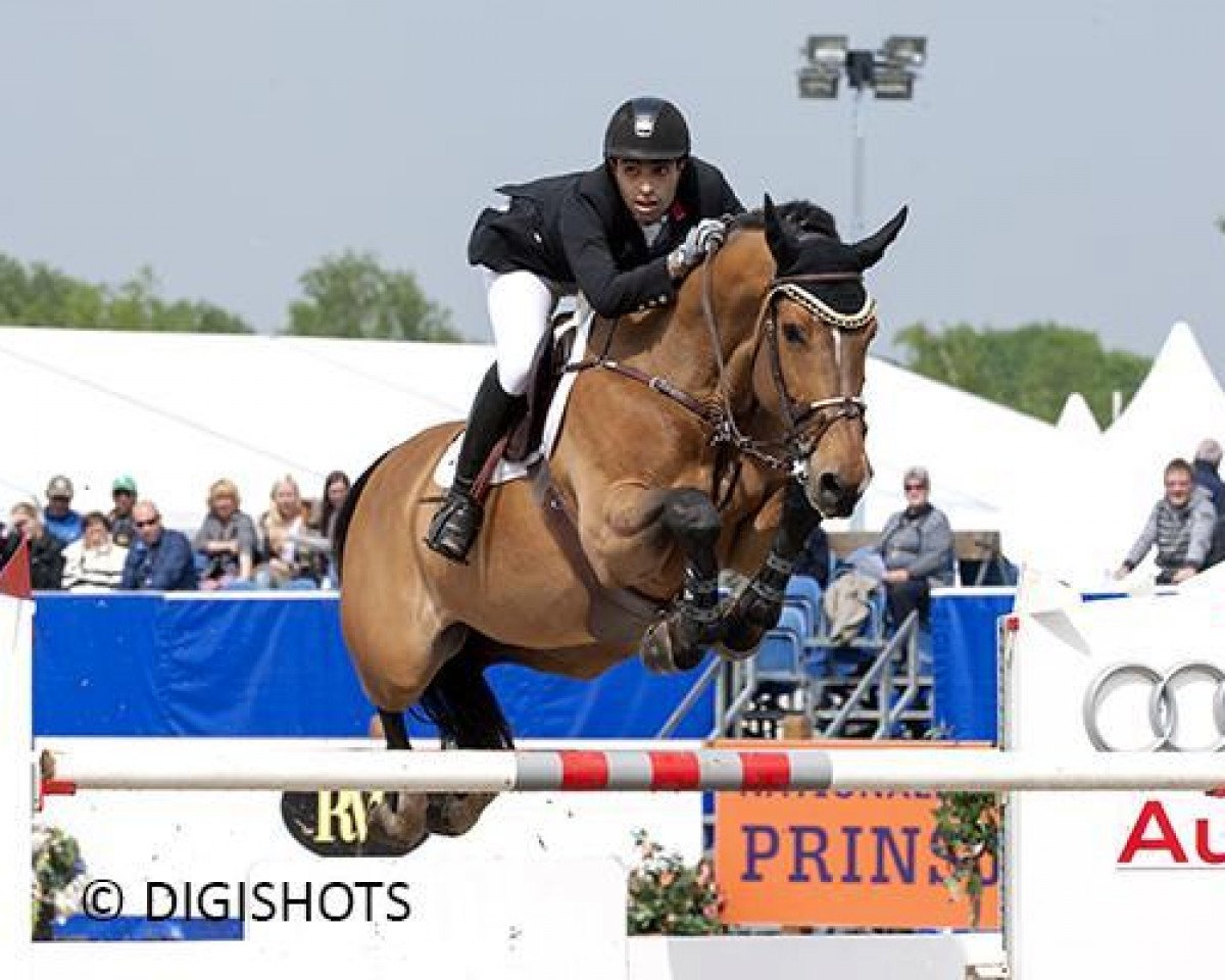jumper Casper (Belgian Warmblood, 2002, from Nabab de Rêve)