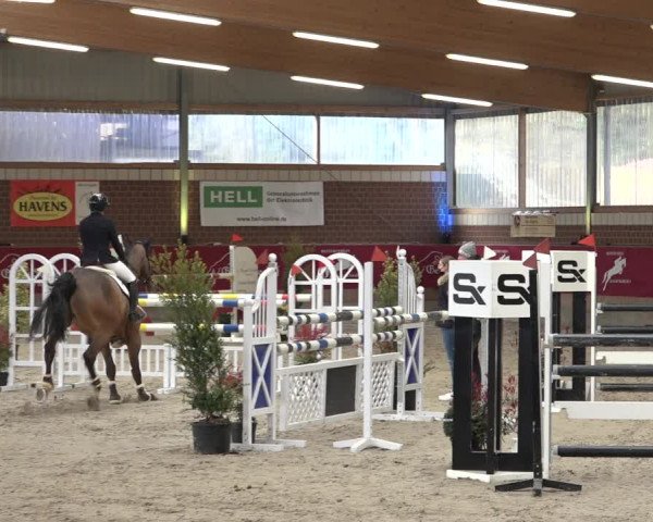 Reitturnier Kaldenkirchen - Gestüt Seehof 2022
